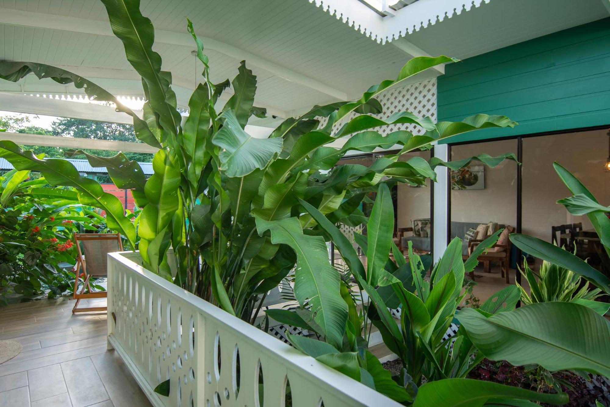 Namaitami Casa Hermosa Con Ac Y Piscina A Solo 650 Metros Del Parque Nacional Cahuita Dış mekan fotoğraf